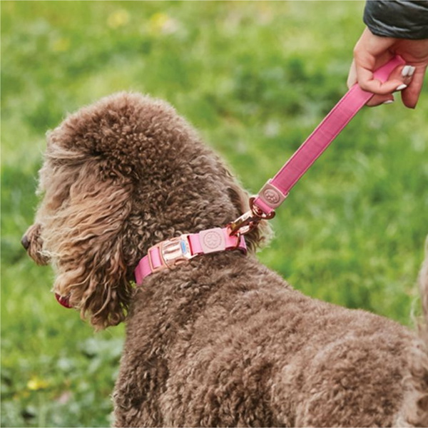 Weatherbeeta Elegance Dog Collar - Pink